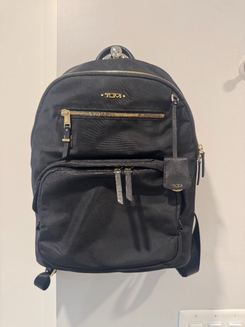 Tumi Voyageur Carson Backpack